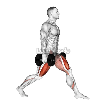 Dumbbell Static Lunge