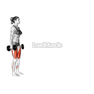 Dumbbell Walking Lunge