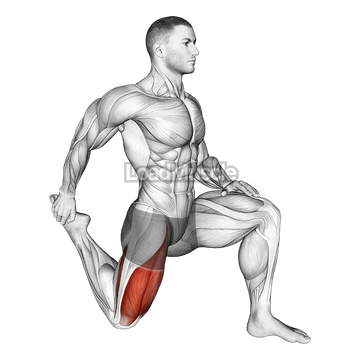 Quadriceps stretch