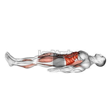 Single Leg Stretch (bent knee)