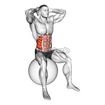 Spinal Stretch (on stability ball)