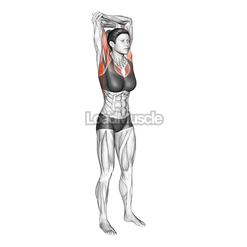 Standing reach-up back rotation stretch
