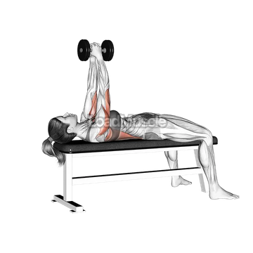 Dumbbell Bent Arm Pullover