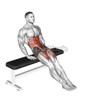 Bench Reverse Crunch Circle