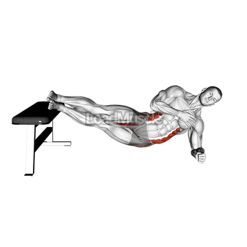 Side Plank Oblique Crunch