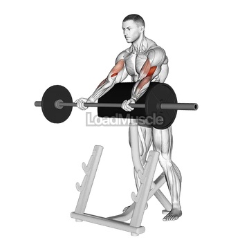 Barbell Spider Curl