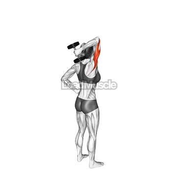 Dumbbell One Arm Triceps Extension