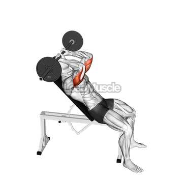 Barbell Incline Triceps Extension Skull Crusher