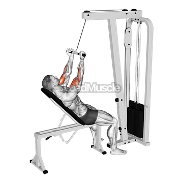 Cable Incline Close grip Curl