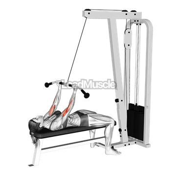 Cable Lying Regular grip Curl