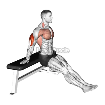 Bench Dip on floor