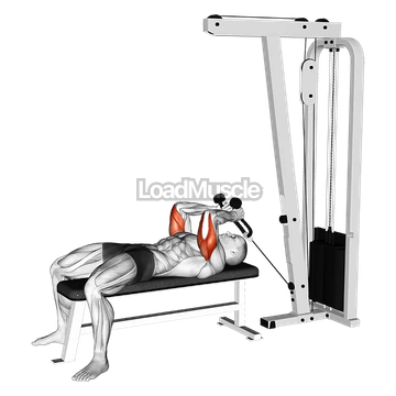 Cable Lying Triceps Extension (with Rope)