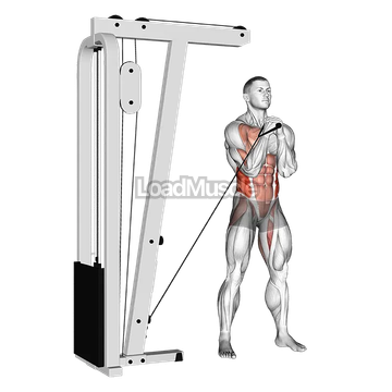 Cable horizontal Pallof Press