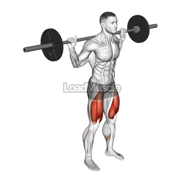 Barbell Squat 2 sec Hold