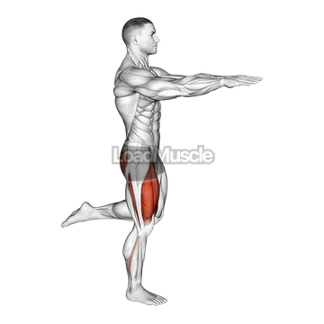 Counterbalanced Skater Squat