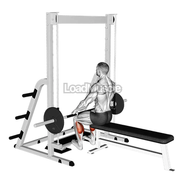 Smith Seated Calf Raise