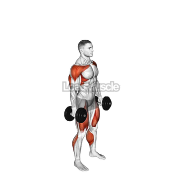 Dumbbell Hang Clean and Jerk