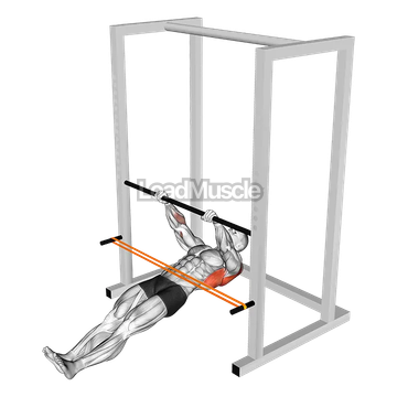 Resistance Band Inverted Row