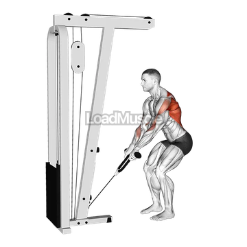 Cable Low Row with Rope Attachment