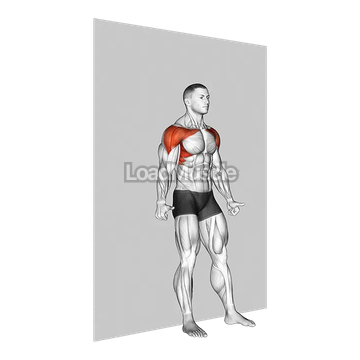 Alternate Shoulder Flexion Back to Wall