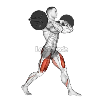 Barbell Front Rack Split Squat