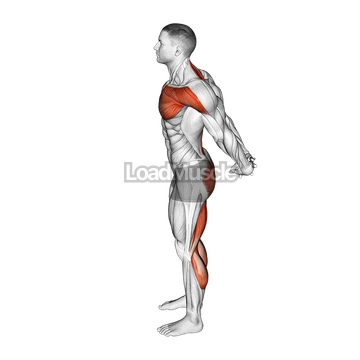 Standing Seal Yoga Pose