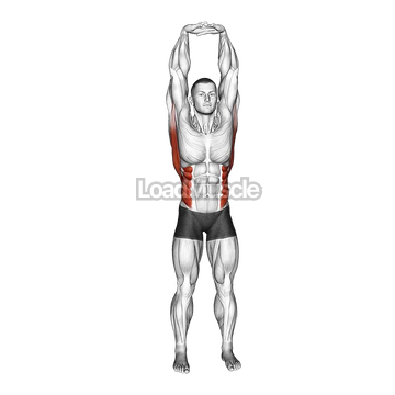 Swaying Palm Tree Yoga Pose