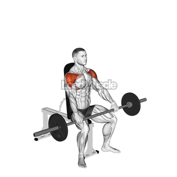 Barbell Seated High Front Raise