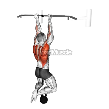 Band Resisted Chin-up