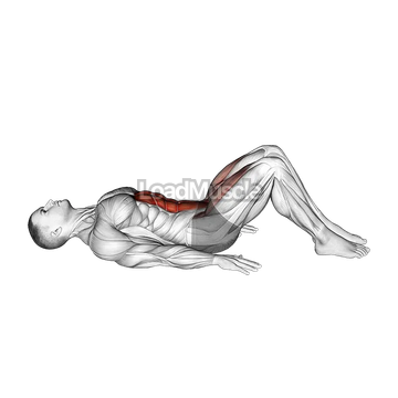 Lying Leg Raise (Modified)