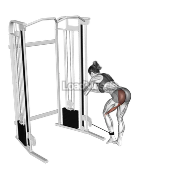 Cable Donkey Kickback