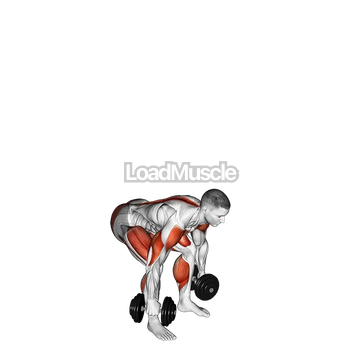 Dumbbell Power Clean and Jerk