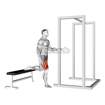 Assisted Bulgarian Split Squat