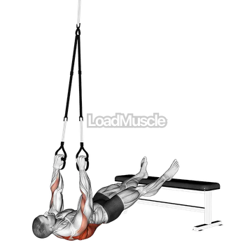 Suspender Wide Grip Inverted Row