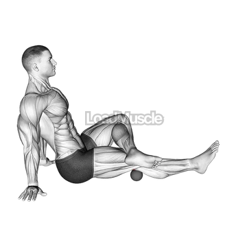 Roll Ball Popliteal