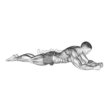 Roll Ball Iliospsoas