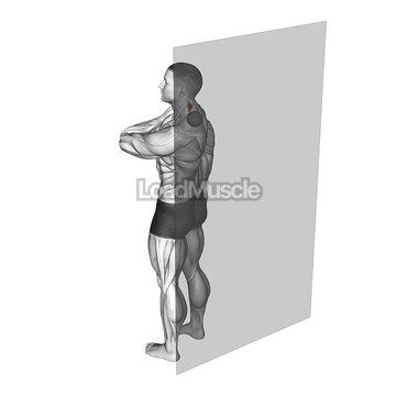 Roll Ball Scapula Levator
