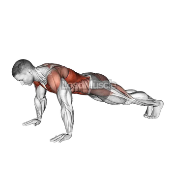 Bodyweight Front Plank to Downward Dog