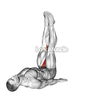 Adductor Stretch