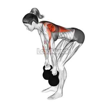 Kettlebell Bent Over Row