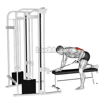 Cable Bent Over Single Arm Kickback