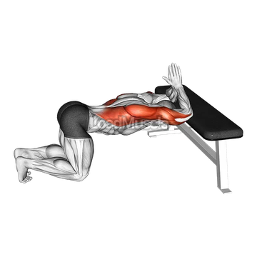 Kneeling Lat Stretch on Bench