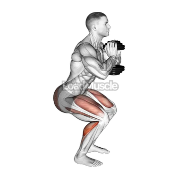 Dumbbell Squat Hold Calf Raise
