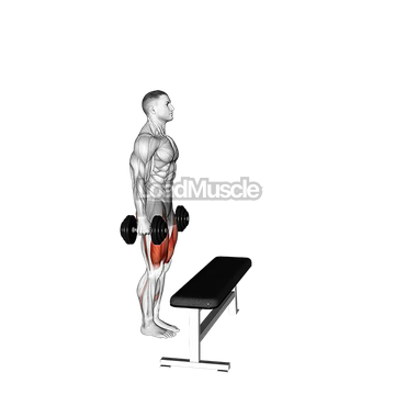 Dumbbell Step-up with Knee Raise
