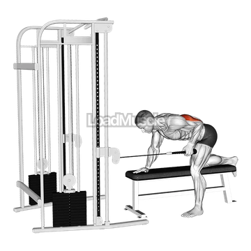 Cable Bent Over Single Arm Neutral Grip Kickback with Rope Attachment