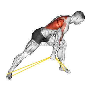 Resistance Band One Arm Bent Over Row