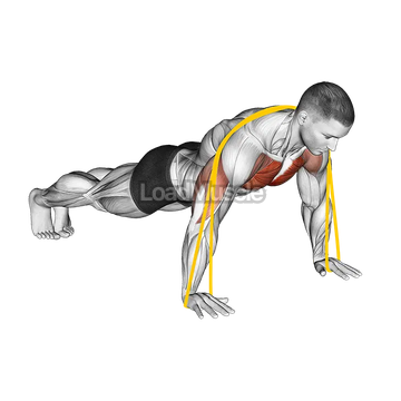 Resistance Band Push-up