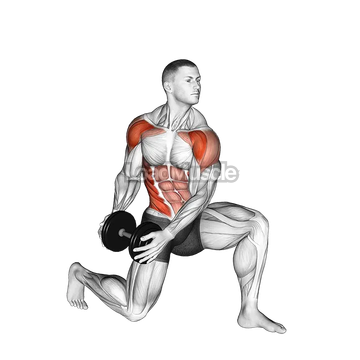 Dumbbell Half Kneeling Lift and Chop