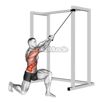 Band Half Kneeling Chop