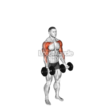 Dumbbell Standing Biceps Curl to Shoulder Press